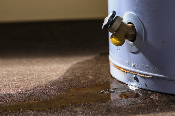 Best Water damage restoration company  in Benbrook, TX