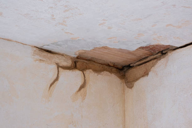 Best 24/7 water damage repair  in Benbrook, TX