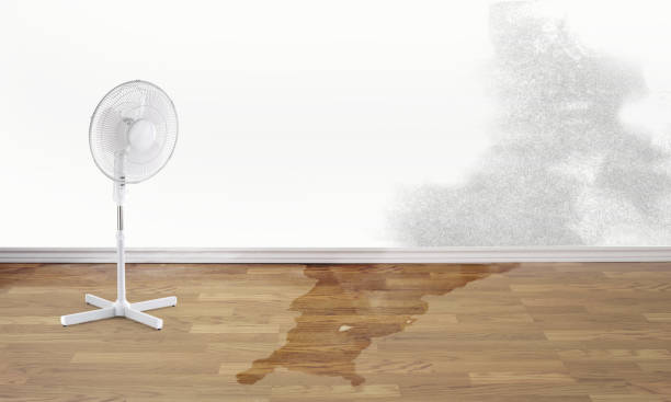 Best Residential water damage restoration  in Benbrook, TX
