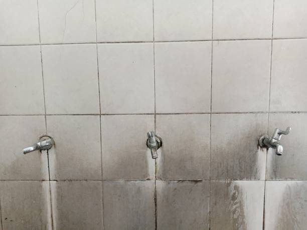 Best Carpet water damage restoration  in Benbrook, TX