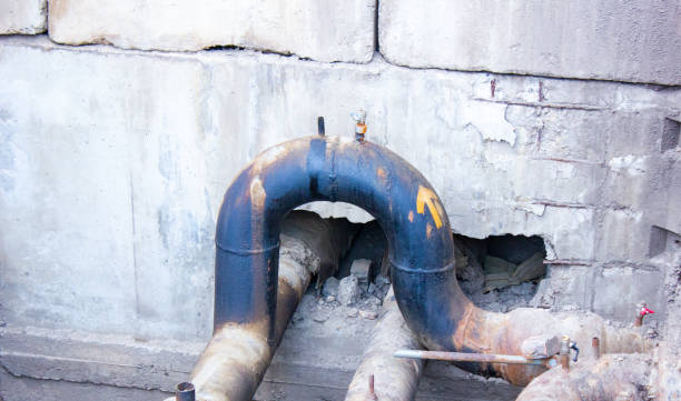 Best Professional water damage repair  in Benbrook, TX