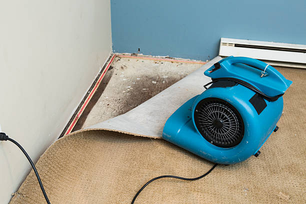 Best Flooded house restoration  in Benbrook, TX